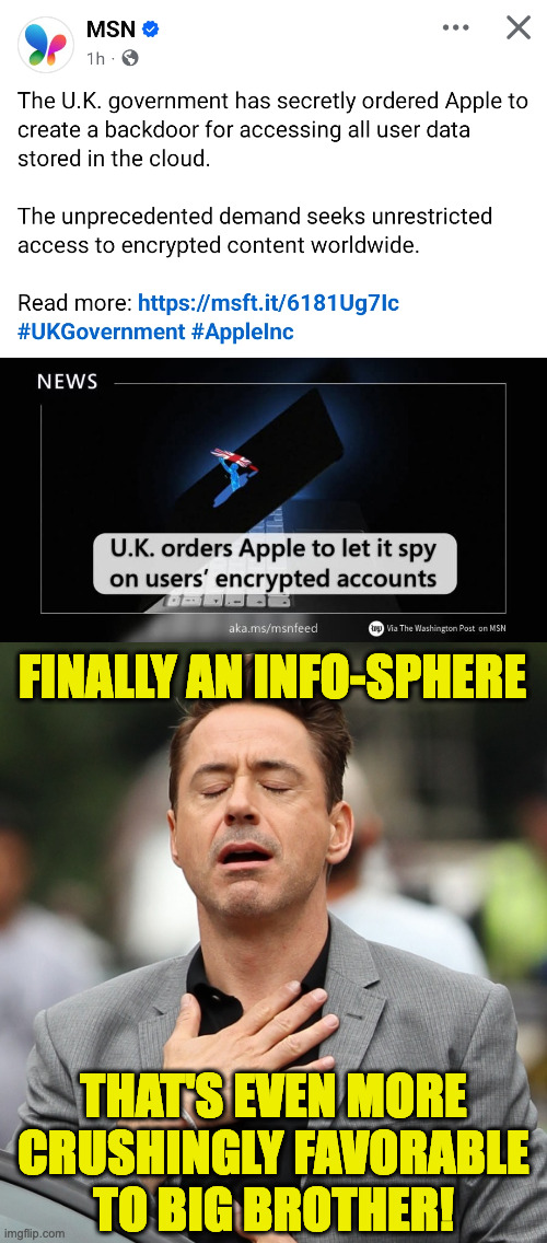 Thank goodness the US would never secretly do anything so fascist. | FINALLY AN INFO-SPHERE; THAT'S EVEN MORE
CRUSHINGLY FAVORABLE
TO BIG BROTHER! | image tagged in relieved rdj,memes,apple worm,fascism worldwide | made w/ Imgflip meme maker