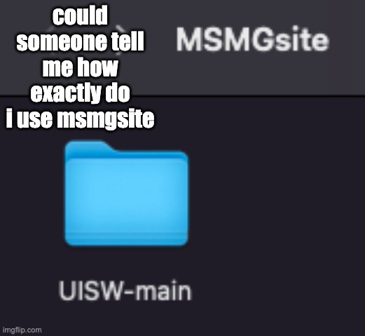 could someone tell me how exactly do i use msmgsite | made w/ Imgflip meme maker