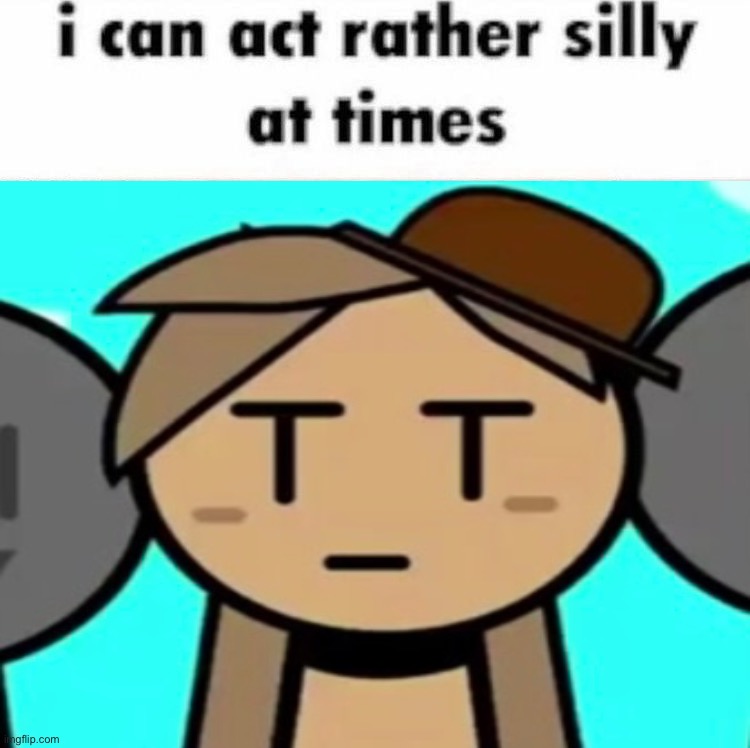 I can act rather silly at times | image tagged in i can act rather silly at times | made w/ Imgflip meme maker