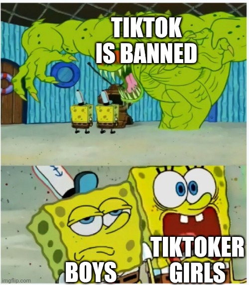 SpongeBob SquarePants scared but also not scared | TIKTOK IS BANNED BOYS TIKTOKER GIRLS | image tagged in spongebob squarepants scared but also not scared | made w/ Imgflip meme maker