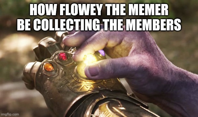 Thanos Completing Infinity Gauntlet | HOW FLOWEY THE MEMER BE COLLECTING THE MEMBERS | image tagged in thanos completing infinity gauntlet | made w/ Imgflip meme maker