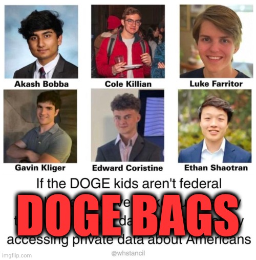 DOGE bags | DOGE BAGS | image tagged in doge bags | made w/ Imgflip meme maker