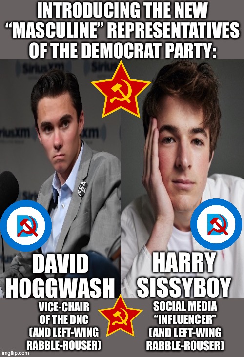 The new faces of the Democrat Party… | INTRODUCING THE NEW “MASCULINE” REPRESENTATIVES OF THE DEMOCRAT PARTY: | made w/ Imgflip meme maker