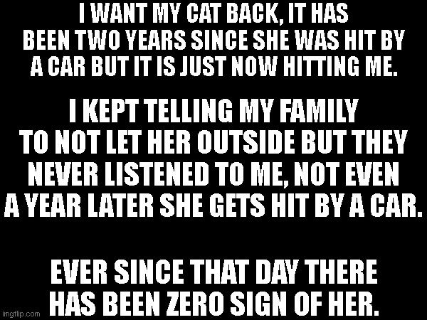 I WANT MY CAT BACK, IT HAS BEEN TWO YEARS SINCE SHE WAS HIT BY A CAR BUT IT IS JUST NOW HITTING ME. I KEPT TELLING MY FAMILY TO NOT LET HER OUTSIDE BUT THEY NEVER LISTENED TO ME, NOT EVEN A YEAR LATER SHE GETS HIT BY A CAR. EVER SINCE THAT DAY THERE HAS BEEN ZERO SIGN OF HER. | made w/ Imgflip meme maker