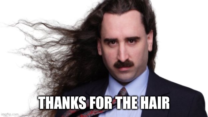 Long Hair | THANKS FOR THE HAIR | image tagged in long hair | made w/ Imgflip meme maker