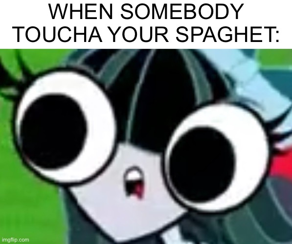 SOMEBODY TOUCHA MY SPAGHET!!!!!! | WHEN SOMEBODY
TOUCHA YOUR SPAGHET: | image tagged in somebody toucha my spaghet,one fly,buzzdale,the buzz on maggie,goofy ahh | made w/ Imgflip meme maker