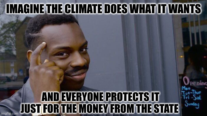 Roll Safe Think About It Meme | IMAGINE THE CLIMATE DOES WHAT IT WANTS AND EVERYONE PROTECTS IT JUST FOR THE MONEY FROM THE STATE | image tagged in memes,roll safe think about it | made w/ Imgflip meme maker