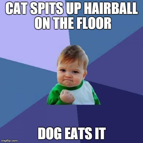 Success Kid Meme | CAT SPITS UP HAIRBALL ON THE FLOOR DOG EATS IT | image tagged in memes,success kid | made w/ Imgflip meme maker