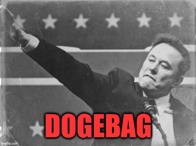 Elon Musk Nazi salute | DOGEBAG | image tagged in elon musk nazi salute | made w/ Imgflip meme maker