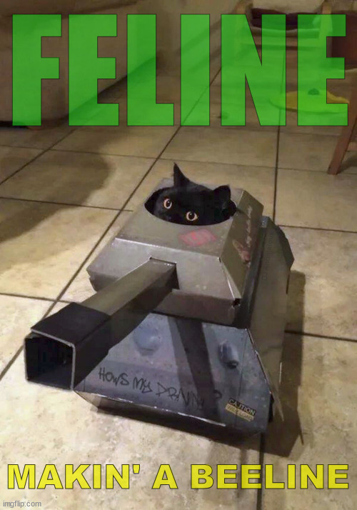 pew pew pew | FELINE; DJ Anomalous; MAKIN' A BEELINE | image tagged in cat,war cat,pew pew pew,caturday,cat meme | made w/ Imgflip meme maker