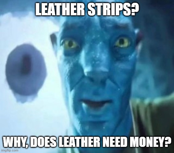 Avatar guy | LEATHER STRIPS? WHY, DOES LEATHER NEED MONEY? | image tagged in avatar guy | made w/ Imgflip meme maker