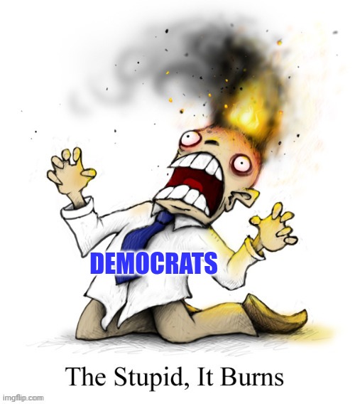 DEMOCRATS | made w/ Imgflip meme maker