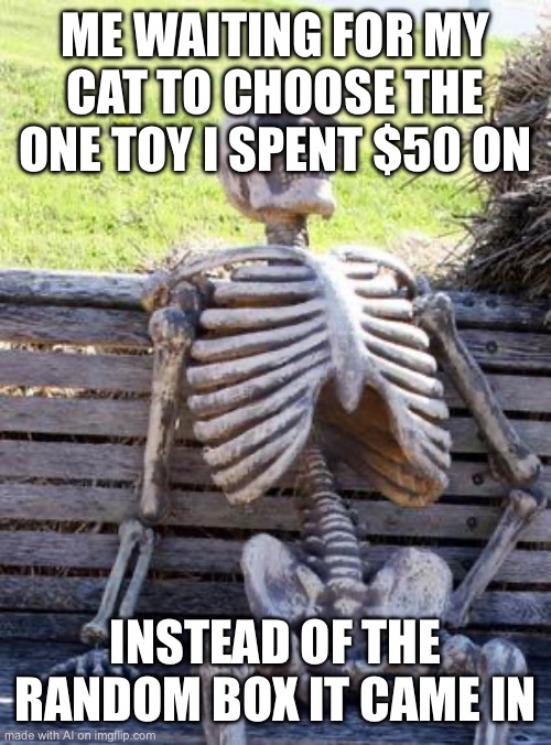 Waiting Skeleton | ME WAITING FOR MY CAT TO CHOOSE THE ONE TOY I SPENT $50 ON; INSTEAD OF THE RANDOM BOX IT CAME IN | image tagged in memes,waiting skeleton,ai | made w/ Imgflip meme maker