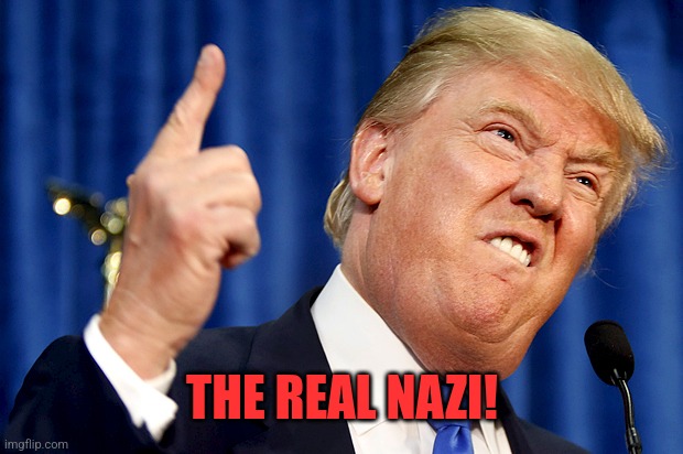 Donald Trump | THE REAL NAZI! | image tagged in donald trump | made w/ Imgflip meme maker