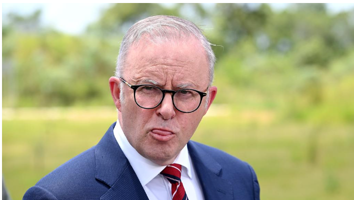 Albo Blank Meme Template