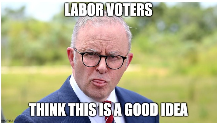 Vote Labor | LABOR VOTERS; THINK THIS IS A GOOD IDEA | image tagged in albo | made w/ Imgflip meme maker