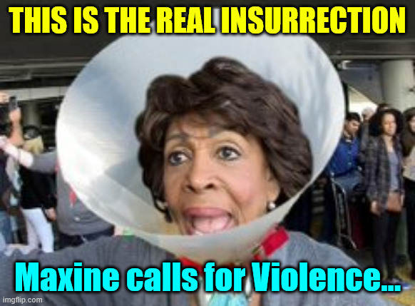 THIS IS THE REAL INSURRECTION Maxine calls for Violence... | made w/ Imgflip meme maker