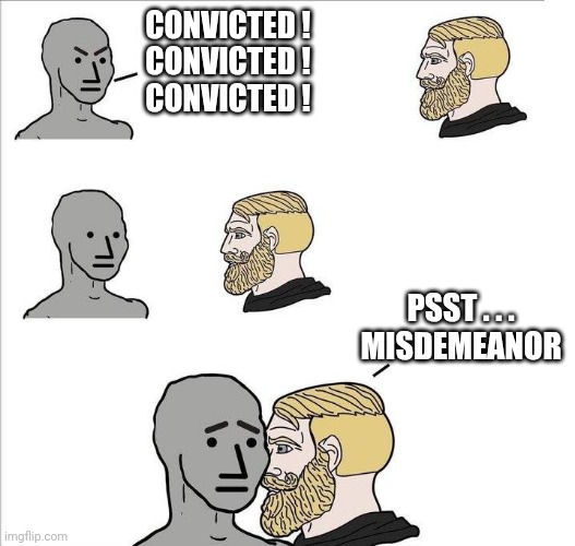 Your terms are acceptable | CONVICTED !
CONVICTED !
CONVICTED ! PSST . . .
MISDEMEANOR | image tagged in your terms are acceptable | made w/ Imgflip meme maker