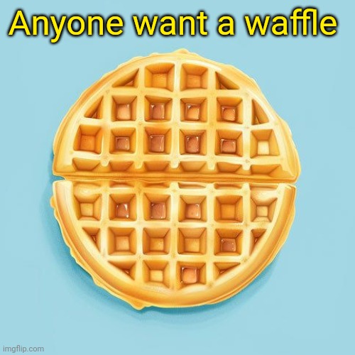 Waffle | Anyone want a waffle | image tagged in waffle | made w/ Imgflip meme maker