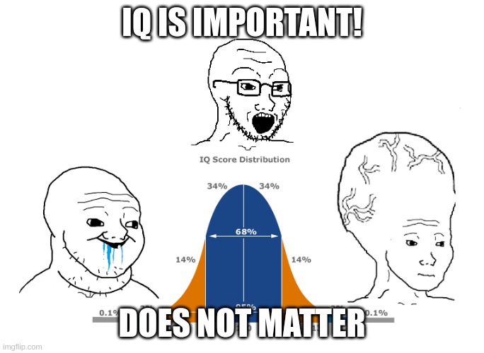 IQ bell curve school | IQ IS IMPORTANT! DOES NOT MATTER | image tagged in iq bell curve school | made w/ Imgflip meme maker
