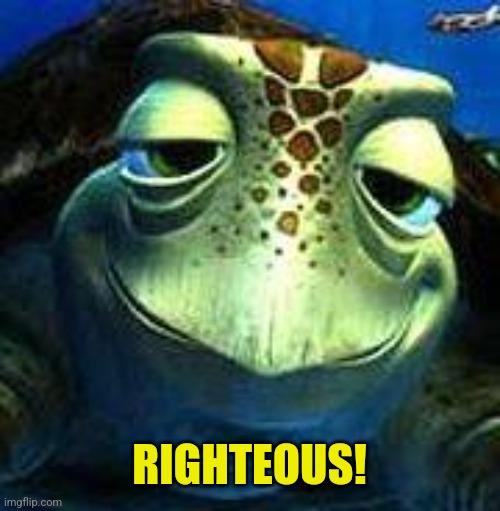 Finding Nemo turtle | RIGHTEOUS! | image tagged in finding nemo turtle | made w/ Imgflip meme maker