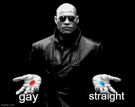 morpheus matrix blue pill red pill | gay straight | image tagged in morpheus matrix blue pill red pill | made w/ Imgflip meme maker