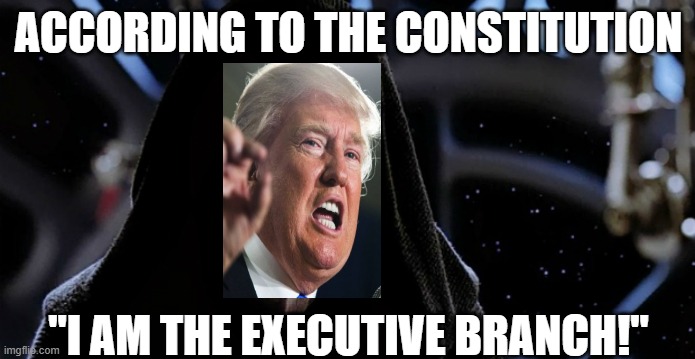 Star Wars Emperor | ACCORDING TO THE CONSTITUTION; "I AM THE EXECUTIVE BRANCH!" | image tagged in star wars emperor | made w/ Imgflip meme maker