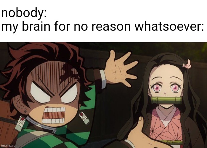 WHO WOULD LOOK AT NEZUKO AND THINK SHE'S UGLY?! | nobody:
my brain for no reason whatsoever: | made w/ Imgflip meme maker