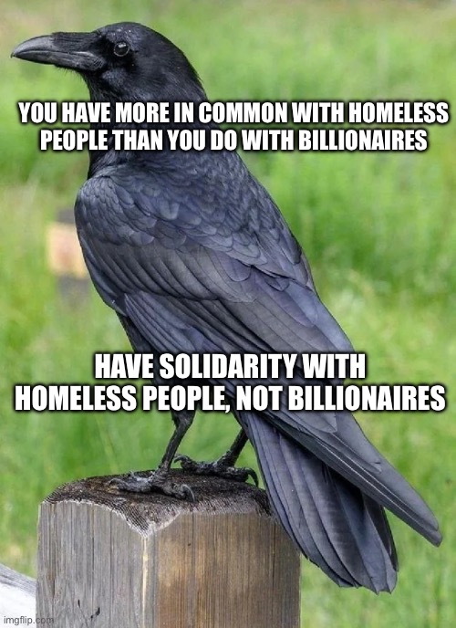 Solidarity with homeless, not billionaires | YOU HAVE MORE IN COMMON WITH HOMELESS PEOPLE THAN YOU DO WITH BILLIONAIRES; HAVE SOLIDARITY WITH HOMELESS PEOPLE, NOT BILLIONAIRES | image tagged in billionaire,solidarity,homeless,leftist,socialism | made w/ Imgflip meme maker