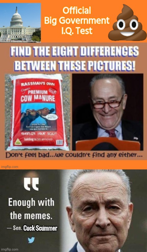 Find the difference between chuck schimer & a bag of $#!+ | Cuck Scummer | image tagged in chuck schumer,poop,scumbag,iq | made w/ Imgflip meme maker