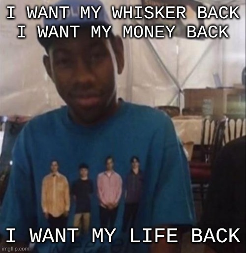 Weezer the Creator | I WANT MY WHISKER BACK
I WANT MY MONEY BACK; I WANT MY LIFE BACK | image tagged in weezer the creator | made w/ Imgflip meme maker