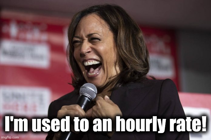 Kamala laughing | I'm used to an hourly rate! | image tagged in kamala laughing | made w/ Imgflip meme maker