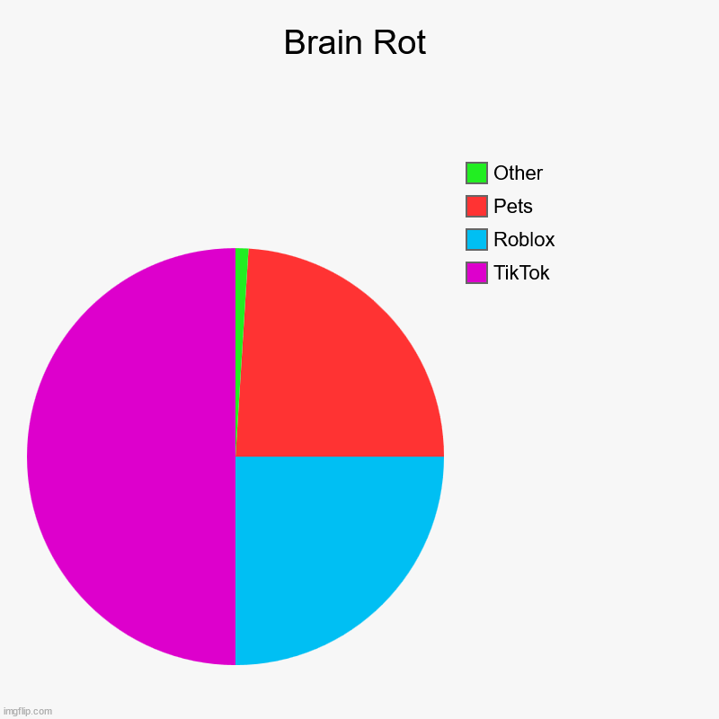 oof | Brain Rot | TikTok, Roblox, Pets, Other | image tagged in charts,pie charts,brain | made w/ Imgflip chart maker