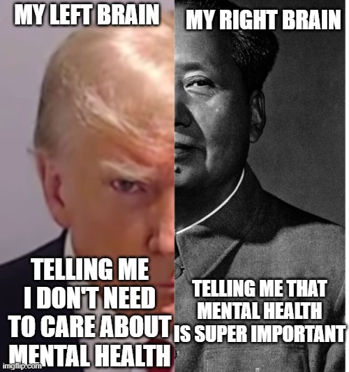 Mind's testing | MY RIGHT BRAIN; MY LEFT BRAIN; TELLING ME THAT MENTAL HEALTH IS SUPER IMPORTANT; TELLING ME I DON'T NEED TO CARE ABOUT MENTAL HEALTH | image tagged in donald trump,mao zedong,funny | made w/ Imgflip meme maker