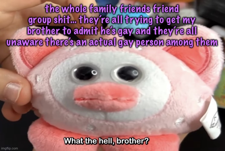 “What the hell, brother?” | the whole family friends friend group shit… they’re all trying to get my brother to admit he’s gay and they’re all unaware there’s an actual gay person among them | image tagged in what the hell brother,cinnabox announcement | made w/ Imgflip meme maker