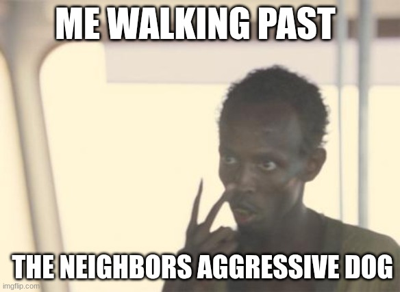 when I walk past my neighbors dog | ME WALKING PAST; THE NEIGHBORS AGGRESSIVE DOG | image tagged in memes,upvotes,dogs | made w/ Imgflip meme maker