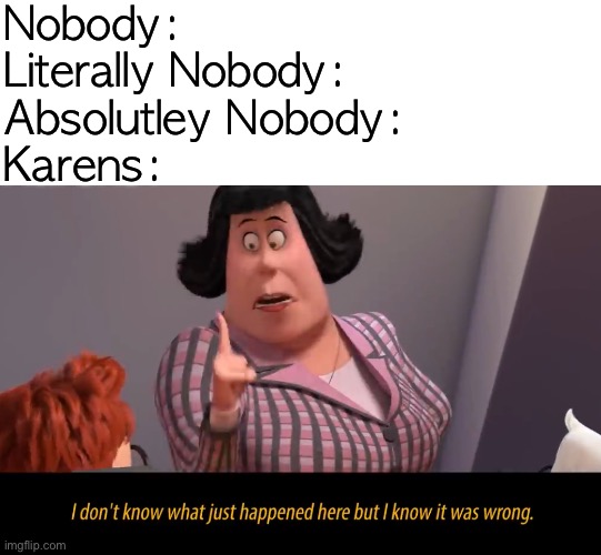 S1gh… | Nobody:
Literally Nobody:
Absolutley Nobody:
Karens: | image tagged in funny,memes,karen | made w/ Imgflip meme maker