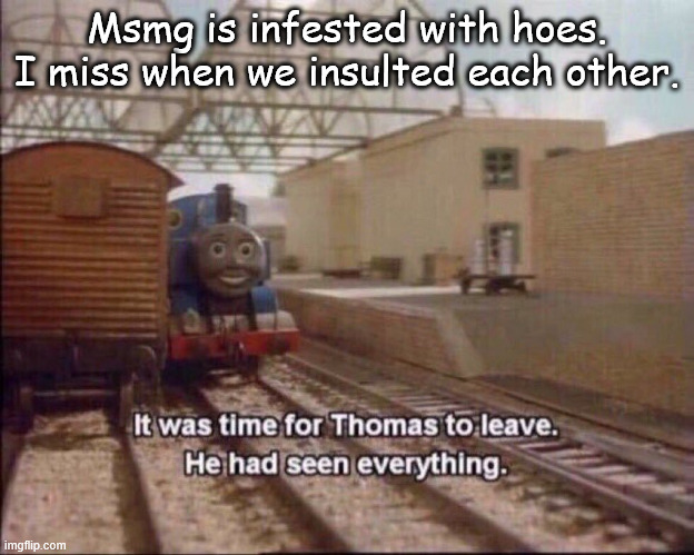 It's a hoe holw | Msmg is infested with hoes. I miss when we insulted each other. | image tagged in it was time for thomas to leave | made w/ Imgflip meme maker