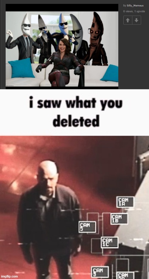 image tagged in i saw what you deleted | made w/ Imgflip meme maker