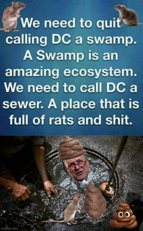 It's a sewer not a swamp | image tagged in bangladesh sewer cleaner,chuck schumer,rats,poop | made w/ Imgflip meme maker