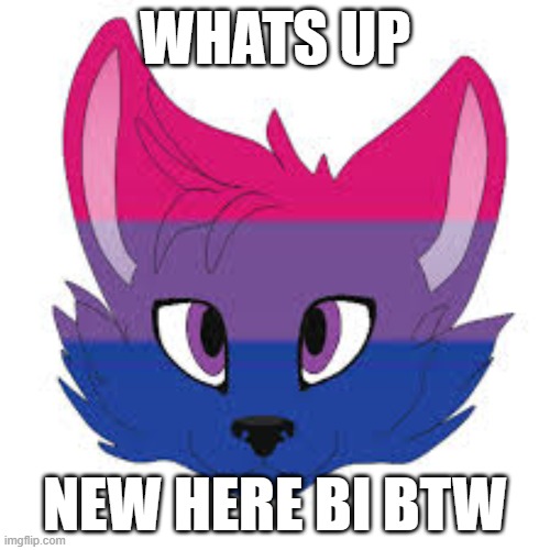 WHATS UP; NEW HERE BI BTW | made w/ Imgflip meme maker