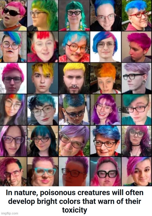 In nature, poisonous creatures will often develop bright colors that warn of their toxicity | image tagged in blue hair,genz | made w/ Imgflip meme maker