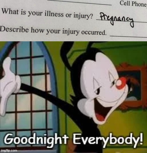 Paperwork that escalated quickly | image tagged in pregnancy,paperwork,well that escalated quickly,yakko,goodnight | made w/ Imgflip meme maker