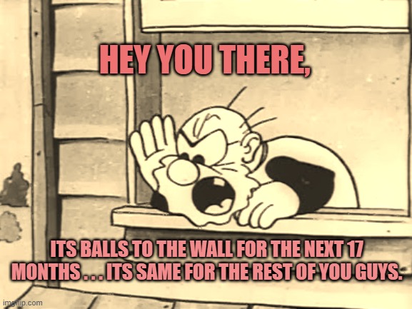 Balls to the wall | HEY YOU THERE, ITS BALLS TO THE WALL FOR THE NEXT 17 MONTHS . . . ITS SAME FOR THE REST OF YOU GUYS. | image tagged in angry cartoon man | made w/ Imgflip meme maker