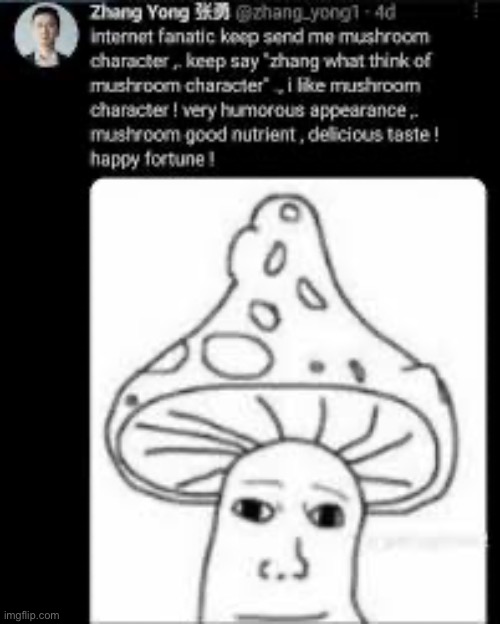 Mushroom character (ignore the quality) | image tagged in zhang yong | made w/ Imgflip meme maker