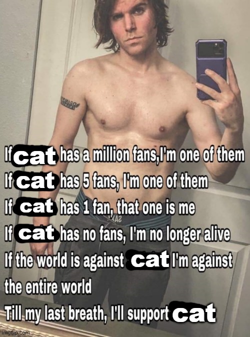 If X has a million fans | cat cat cat cat cat cat | image tagged in if x has a million fans | made w/ Imgflip meme maker