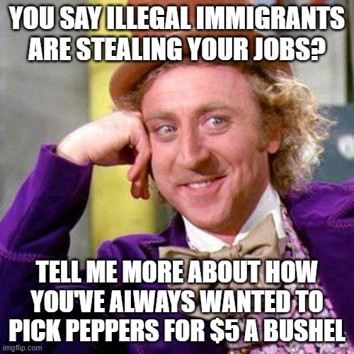 Willy Wonka Blank | YOU SAY ILLEGAL IMMIGRANTS ARE STEALING YOUR JOBS? TELL ME MORE ABOUT HOW YOU'VE ALWAYS WANTED TO PICK PEPPERS FOR $5 A BUSHEL | image tagged in willy wonka blank | made w/ Imgflip meme maker