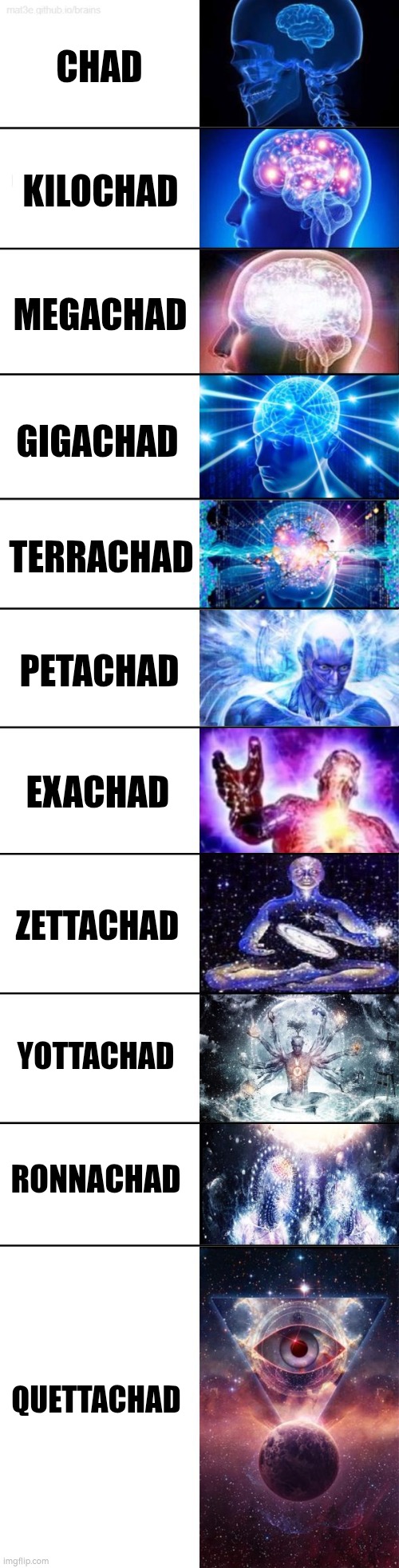 Might do virgin versions | CHAD; KILOCHAD; MEGACHAD; GIGACHAD; TERRACHAD; PETACHAD; EXACHAD; ZETTACHAD; YOTTACHAD; RONNACHAD; QUETTACHAD | image tagged in extended expanding brain | made w/ Imgflip meme maker