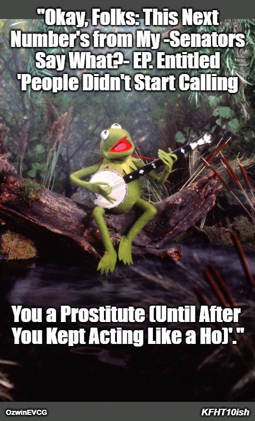 KFHT10ish | "Okay, Folks: This Next 

Number's from My -Senators 

Say What?- EP. Entitled 

'People Didn't Start Calling; You a Prostitute (Until After 

You Kept Acting Like a Ho)'."; KFHT10ish; OzwinEVCG | image tagged in kermit sings a song,lobbying,corporations,bureaucracies,foreign governments,politicians suck | made w/ Imgflip meme maker