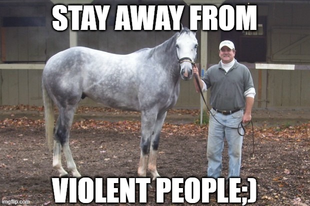 junk vibes | STAY AWAY FROM; VIOLENT PEOPLE;) | image tagged in tunges | made w/ Imgflip meme maker